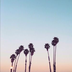 Meet your Posher, Sasha